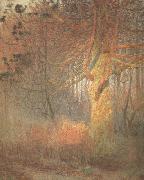 Tree in the Sun (nn02) Emile Claus